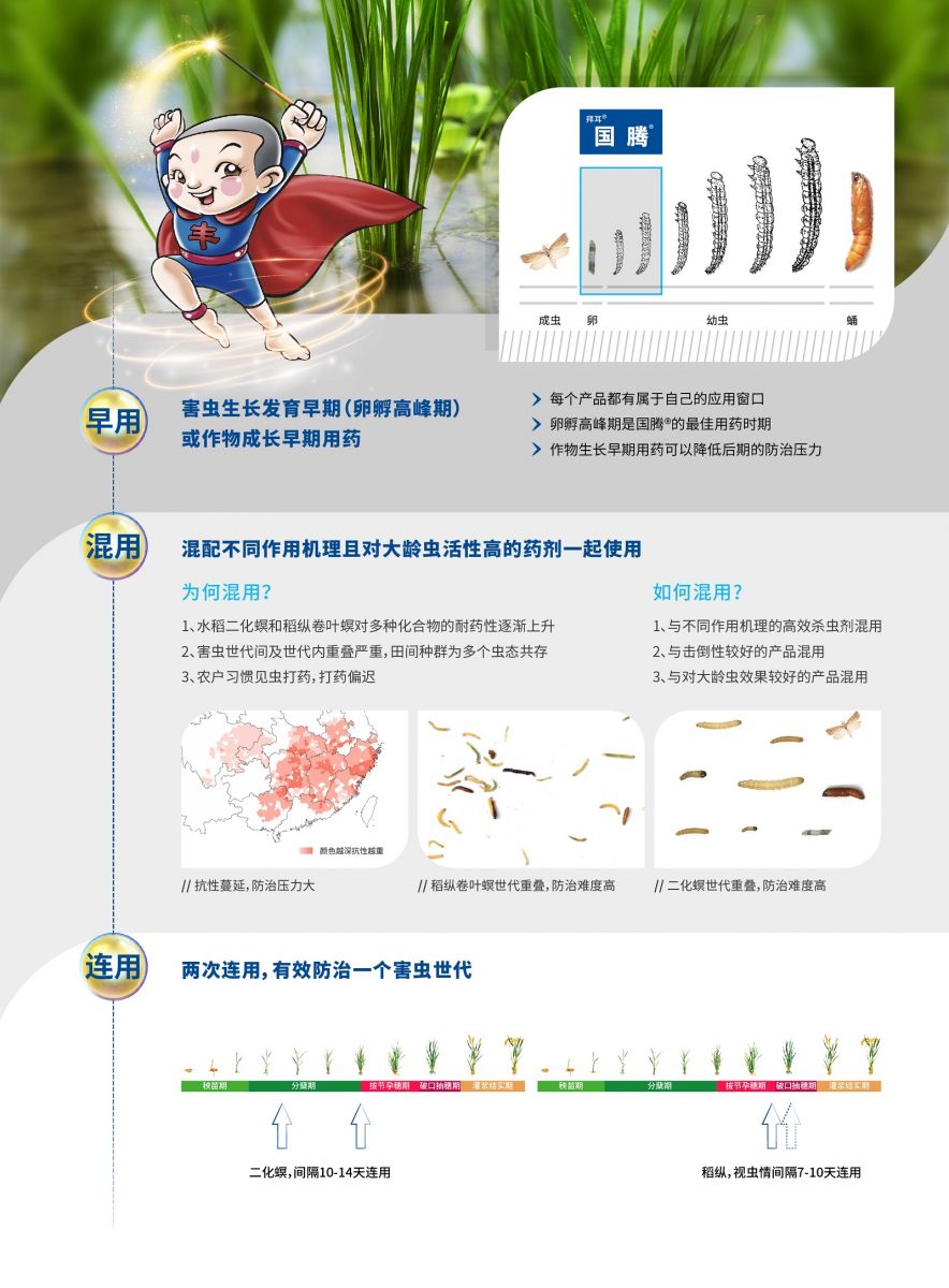 早混连示意