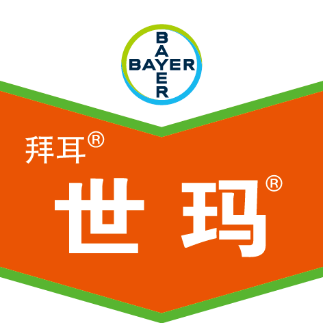 5b74103df3885.png