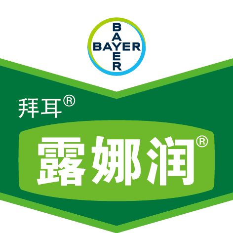 5b7411a7489f7
