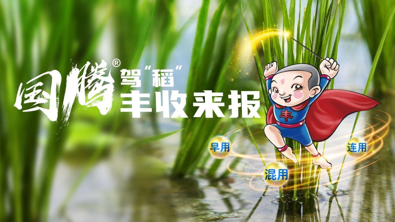 KV_封面