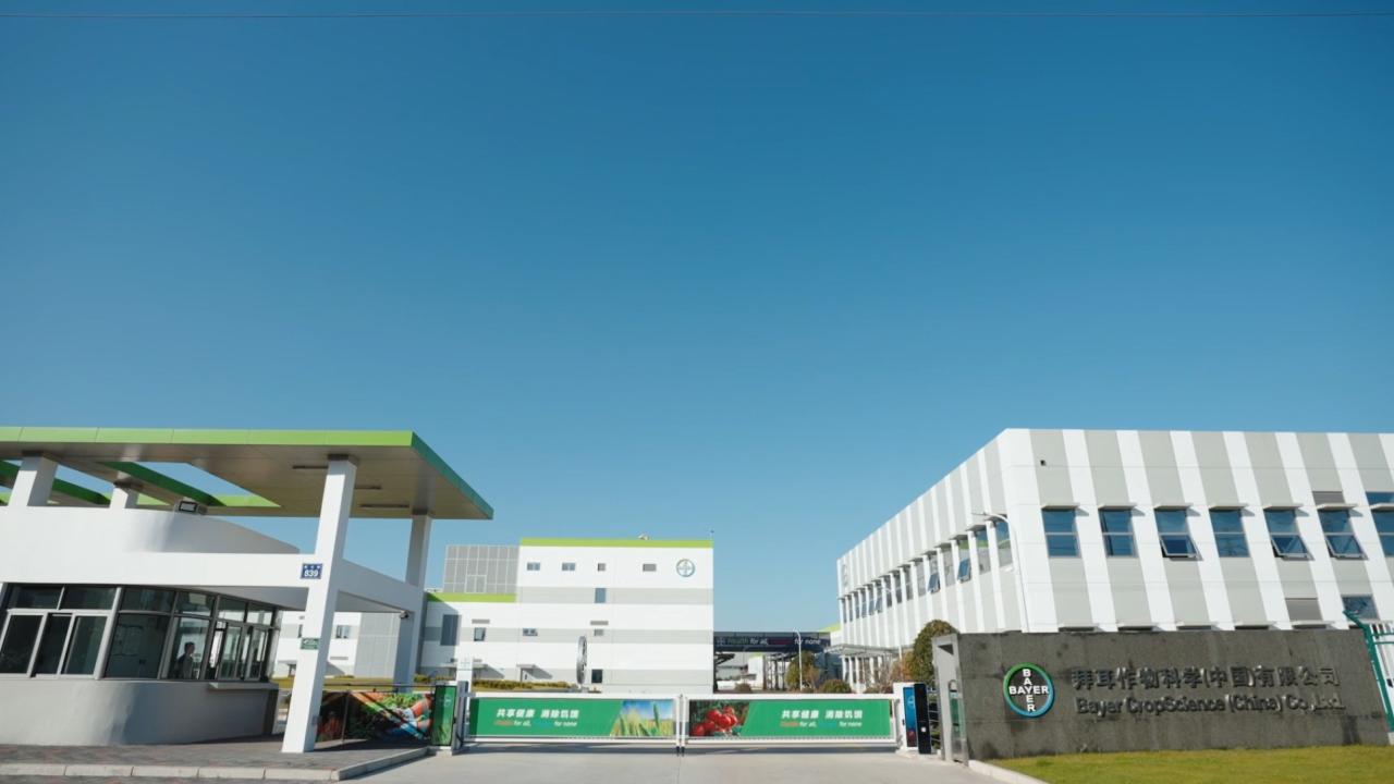 新工厂