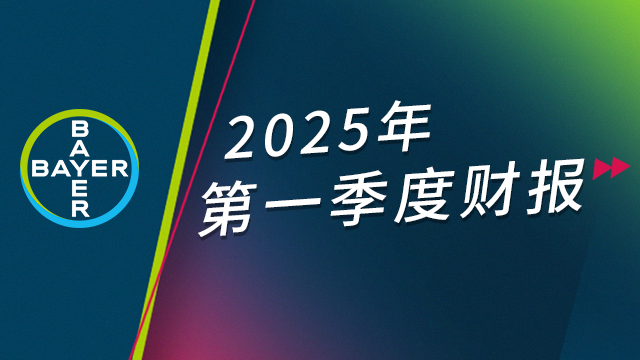 2025Q1财报封面