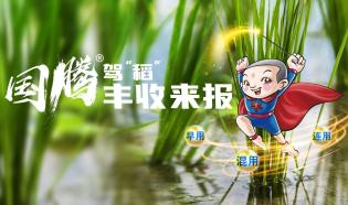 KV_封面