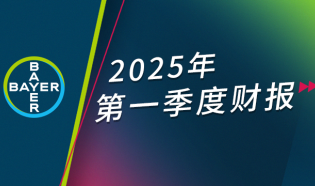 2025Q1财报封面