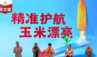 欧古德上市