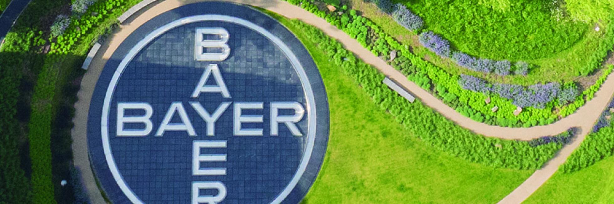 bayer